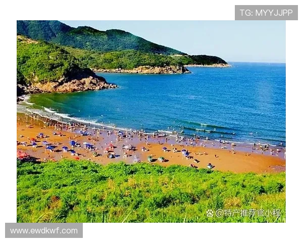 冲浪运动初学者必备指南 完整解析冲浪基本规则与注意事项 冲浪运动初学者必备指南 完整解析冲浪基本规则与注意事项