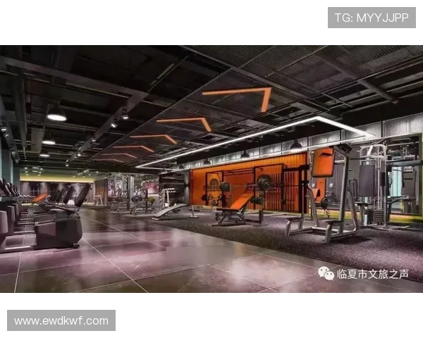 游泳训练中的体能提升与技术优化心得分享