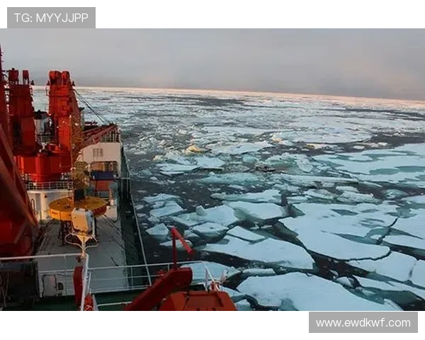 全面解析帆船出航前航行中与返航后的安全注意事项指南实用要点详解